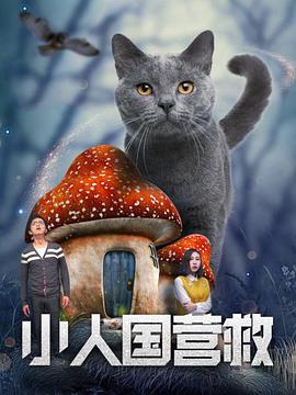 风月宝鉴