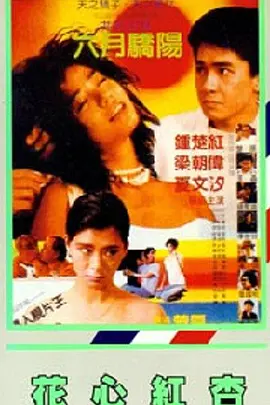 说谎的爱人