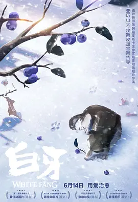 年轻的小迷妹