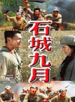 国内精品久久久久久久
