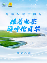 www爱射网站avcom