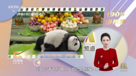 男女高潮又爽又黄又无遮挡